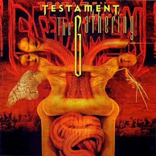 [중고CD] Testament / The Gathering