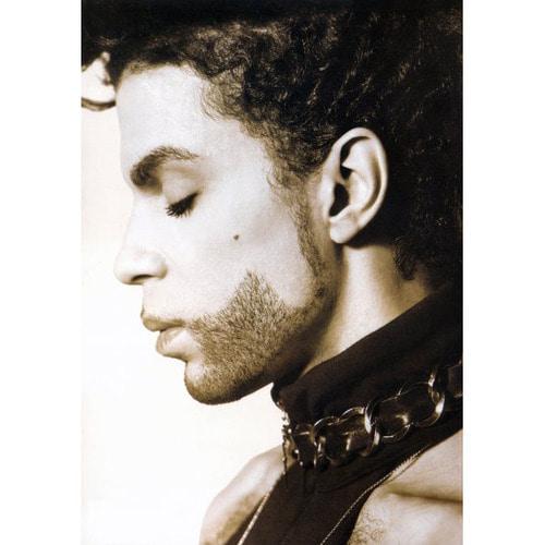 [중고/DVD] Prince / The Hits Collection (수입)