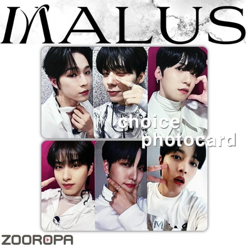 [G 포토카드 선택] 원어스 ONEUS MALUS (정품/뮤직스케일)