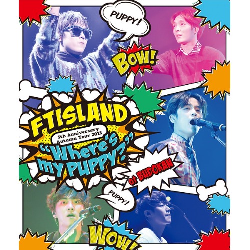 [중고DVD] 에프티 아일랜드 (FT Island) / 5th Anniversary Autumn Tour 2015 &#039;Where&#039;s My Puppy?&#039; (일본반)