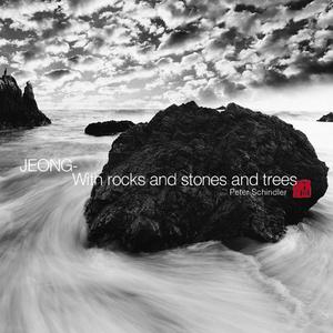[중고] V.A. / 정 (Jeong) - with Rocks and Stones and Trees