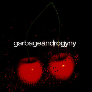 [중고] Garbage / Androgyny (Single/수입)