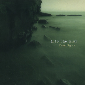 David Agnew / Into The Mist (미개봉CD)