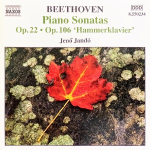 [중고CD] Jeno Jando / Beethoven: Piano Sonatas, Vol.9 (수입/8550234)
