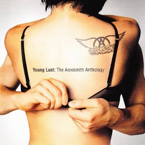 [중고CD] Aerosmith / Young Lust: The Aerosmith Anthology (2CD)